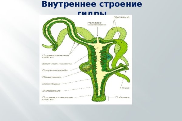 Сайт кракен онион ссылка